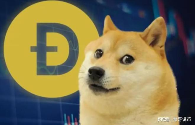 狗狗幣今日行情概覽，最新價格走勢分析