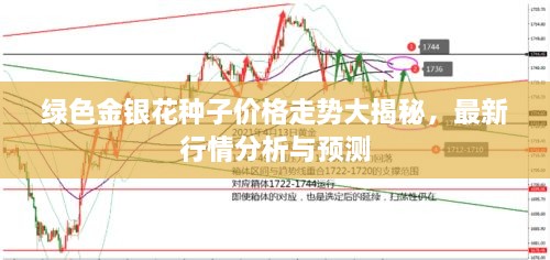 綠色金銀花種子價(jià)格走勢大揭秘，最新行情分析與預(yù)測