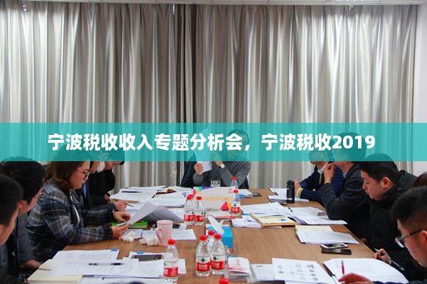 寧波稅收收入專題分析會，寧波稅收2019 