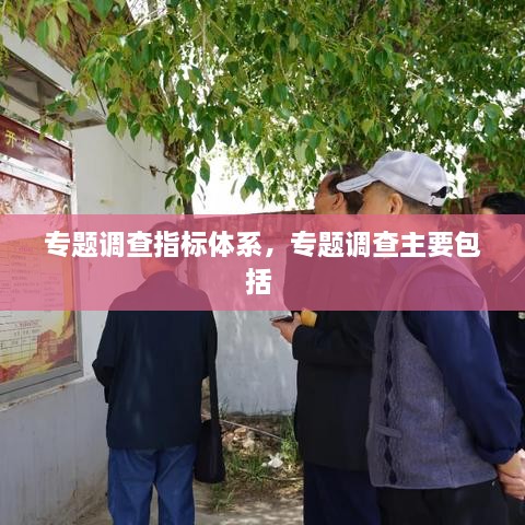 專題調(diào)查指標(biāo)體系，專題調(diào)查主要包括 