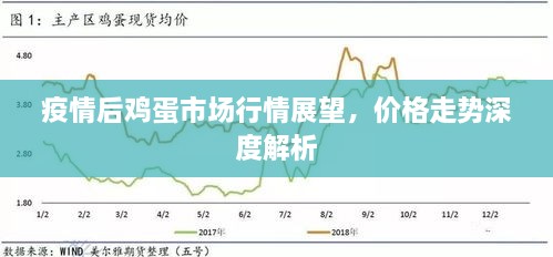 疫情后雞蛋市場(chǎng)行情展望，價(jià)格走勢(shì)深度解析