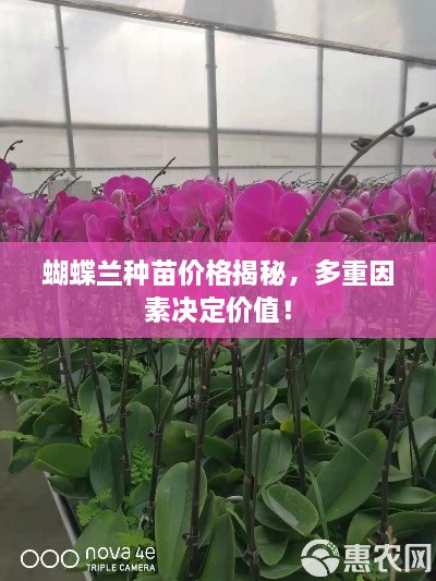 無(wú)冬無(wú)夏 第2頁(yè)