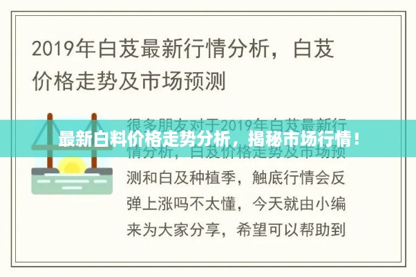 最新白料價(jià)格走勢(shì)分析，揭秘市場(chǎng)行情！