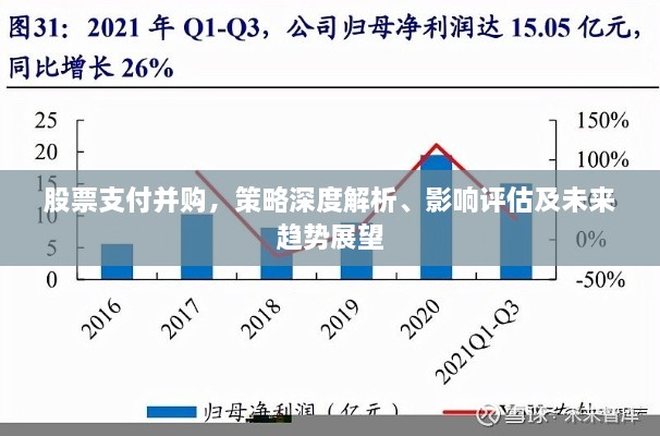 股票支付并購(gòu)，策略深度解析、影響評(píng)估及未來(lái)趨勢(shì)展望
