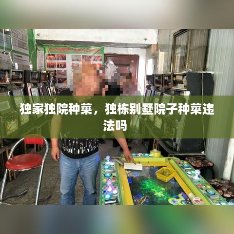 獨(dú)家獨(dú)院種菜，獨(dú)棟別墅院子種菜違法嗎 