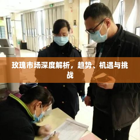 玫瑰市場(chǎng)深度解析，趨勢(shì)、機(jī)遇與挑戰(zhàn)