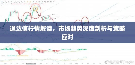 通達(dá)信行情解讀，市場趨勢深度剖析與策略應(yīng)對