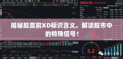 揭秘股票前XD標(biāo)識(shí)含義，解讀股市中的特殊信號(hào)！