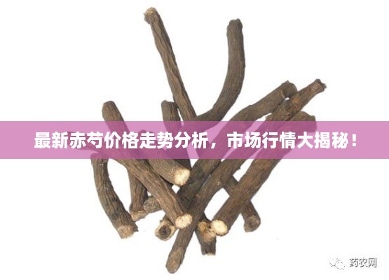 最新赤芍價格走勢分析，市場行情大揭秘！
