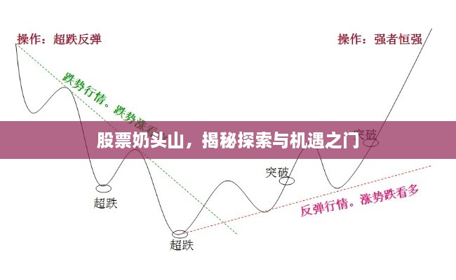 股票奶頭山，揭秘探索與機遇之門