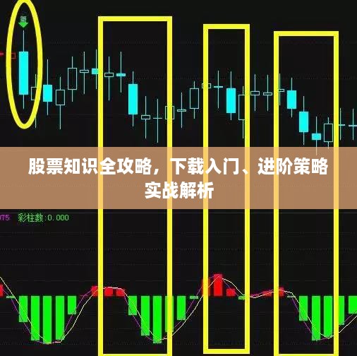 股票知識(shí)全攻略，下載入門、進(jìn)階策略實(shí)戰(zhàn)解析