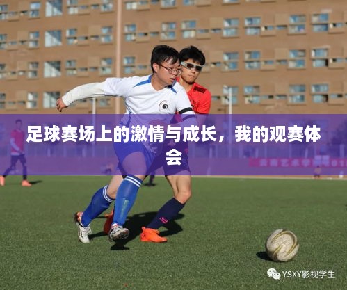 足球賽場(chǎng)上的激情與成長(zhǎng)，我的觀賽體會(huì)