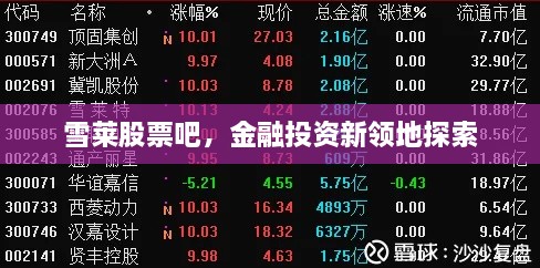 雪萊股票吧，金融投資新領(lǐng)地探索