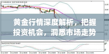 黃金行情深度解析，把握投資機(jī)會，洞悉市場走勢