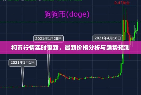 狗幣行情實(shí)時(shí)更新，最新價(jià)格分析與趨勢(shì)預(yù)測(cè)