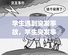學(xué)生遇到突發(fā)事故，學(xué)生突發(fā)事件的處理原則 