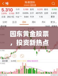 園東黃金股票，投資新熱點，財富新選擇