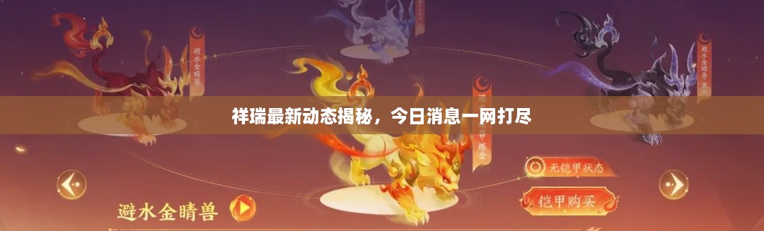 祥瑞最新動態(tài)揭秘，今日消息一網(wǎng)打盡