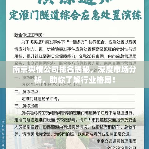 南京輿情公司排名揭秘，深度市場分析，助你了解行業(yè)格局！
