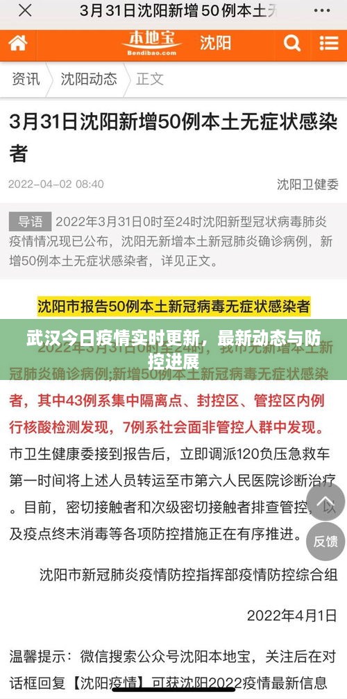 武漢今日疫情實時更新，最新動態(tài)與防控進展