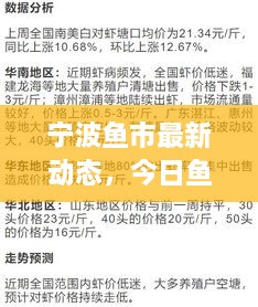 寧波魚(yú)市最新動(dòng)態(tài)，今日魚(yú)價(jià)、市場(chǎng)走勢(shì)及影響因素全解析