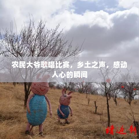 農(nóng)民大爺歌唱比賽，鄉(xiāng)土之聲，感動人心的瞬間