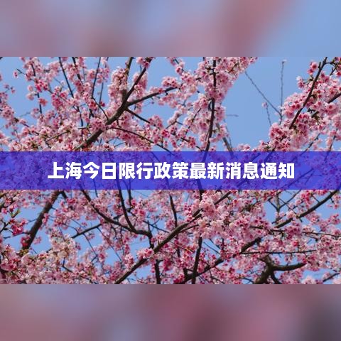 shoubushijuan 第2頁
