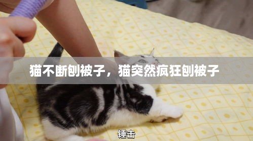 半截鳥木 第2頁