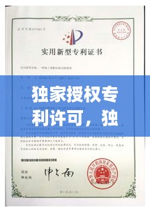 獨(dú)家授權(quán)專(zhuān)利許可，獨(dú)家專(zhuān)利什么意思 