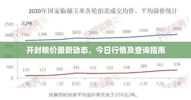 開封糧價最新動態(tài)，今日行情及查詢指南