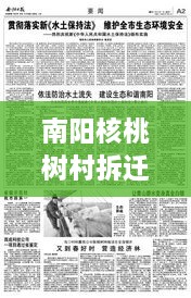 南陽核桃樹村拆遷重磅更新，最新動態(tài)揭秘！