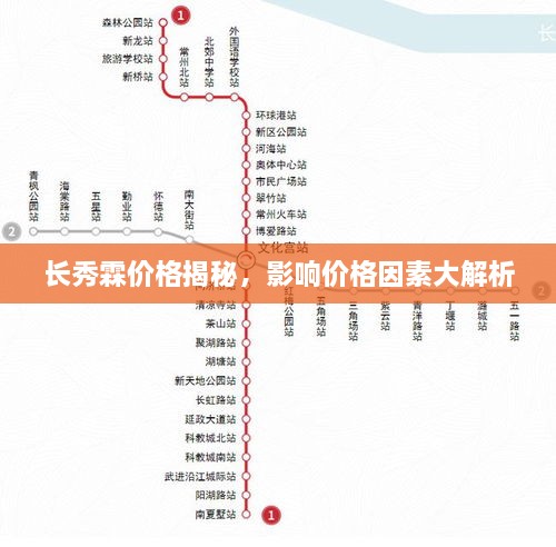 長秀霖價格揭秘，影響價格因素大解析