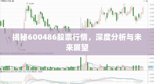 揭秘600486股票行情，深度分析與未來(lái)展望