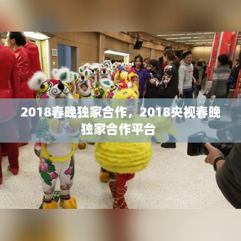 2018春晚獨(dú)家合作，2018央視春晚獨(dú)家合作平臺 