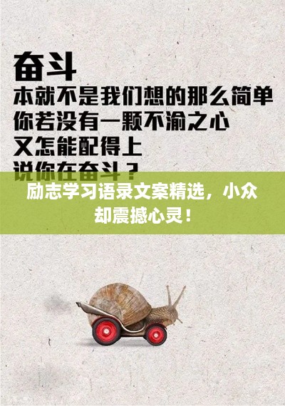 勵(lì)志學(xué)習(xí)語(yǔ)錄文案精選，小眾卻震撼心靈！