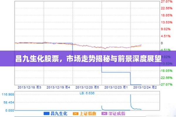 昌九生化股票，市場走勢揭秘與前景深度展望