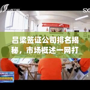 呂梁簽證公司排名揭秘，市場(chǎng)概述一網(wǎng)打盡