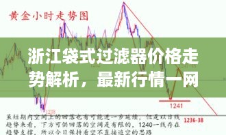 浙江袋式過(guò)濾器價(jià)格走勢(shì)解析，最新行情一網(wǎng)打盡！