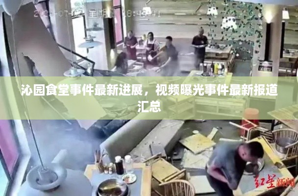 沁園食堂事件最新進(jìn)展，視頻曝光事件最新報(bào)道匯總