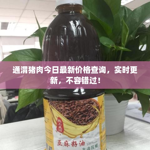 通渭豬肉今日最新價(jià)格查詢，實(shí)時(shí)更新，不容錯(cuò)過！