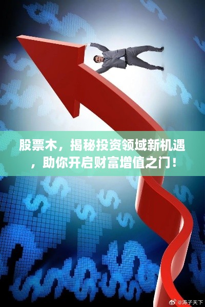 股票木，揭秘投資領(lǐng)域新機遇，助你開啟財富增值之門！