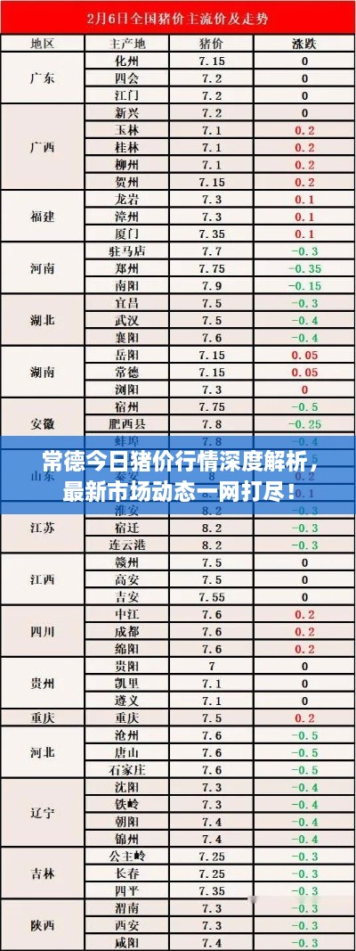 常德今日豬價(jià)行情深度解析，最新市場(chǎng)動(dòng)態(tài)一網(wǎng)打盡！