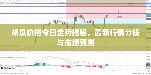 胡瓜價(jià)格今日走勢(shì)揭秘，最新行情分析與市場(chǎng)預(yù)測(cè)