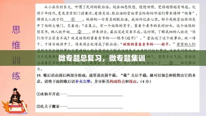 微專題總復(fù)習(xí)，微專題集訓(xùn) 