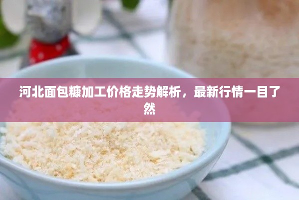 河北面包糠加工價格走勢解析，最新行情一目了然