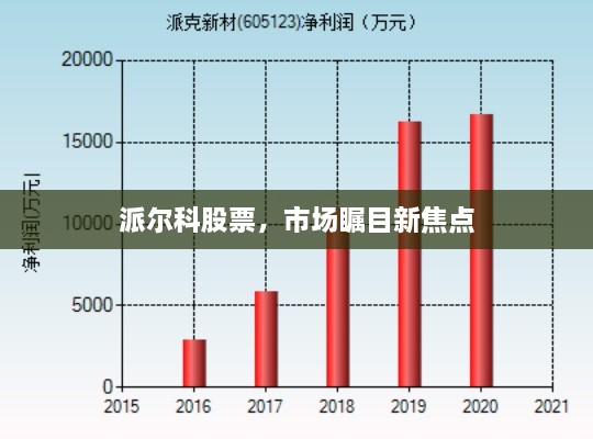 派爾科股票，市場矚目新焦點