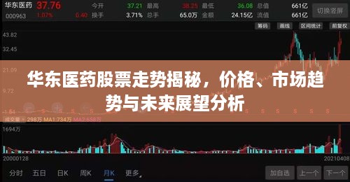 華東醫(yī)藥股票走勢(shì)揭秘，價(jià)格、市場(chǎng)趨勢(shì)與未來(lái)展望分析