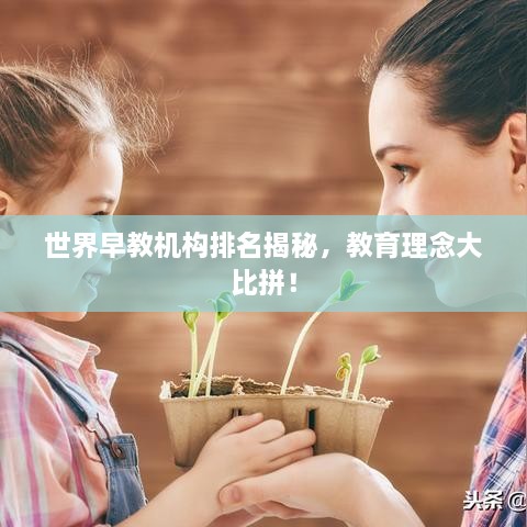 世界早教機(jī)構(gòu)排名揭秘，教育理念大比拼！