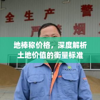 地棒稱價(jià)格，深度解析土地價(jià)值的衡量標(biāo)準(zhǔn)
