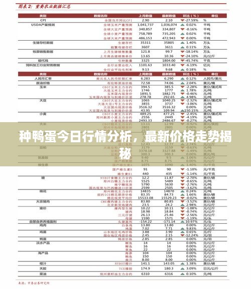 種鴨蛋今日行情分析，最新價(jià)格走勢(shì)揭秘